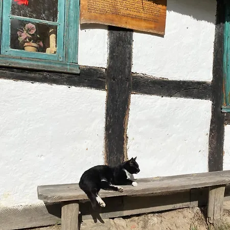 Apartmán 9 Nina - Debina Debina (Ustka)