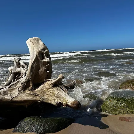 9 Nina - Debina Debina (Ustka)