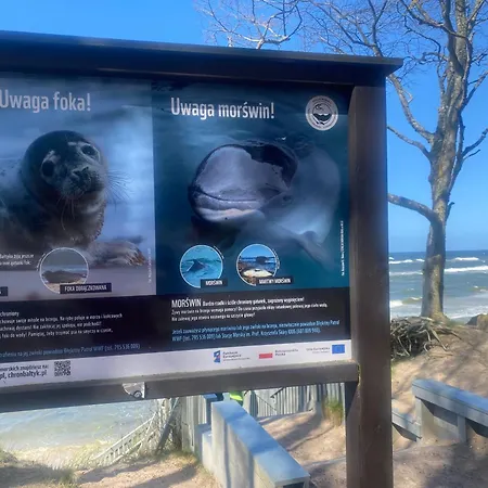 Apartmán 9 Nina - Debina