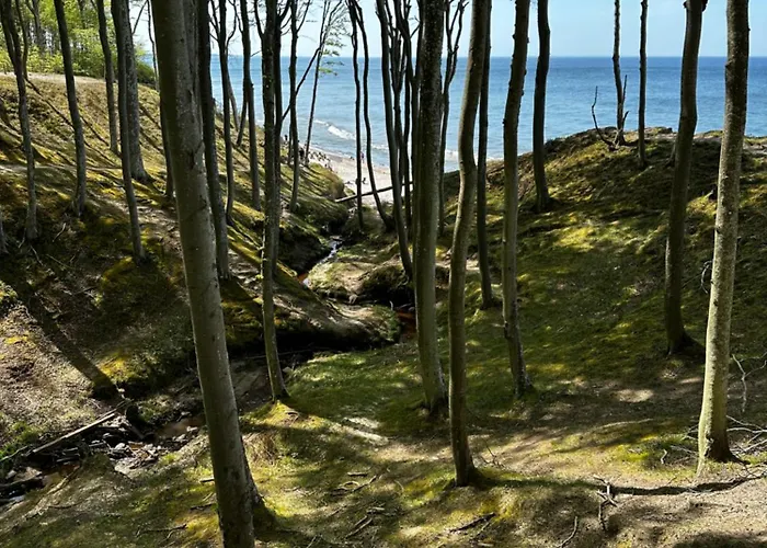 9 Nina - Dębina Apartament