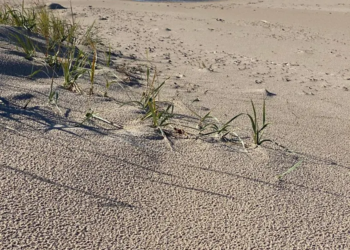 9 Nina - Debina Debina (Ustka)