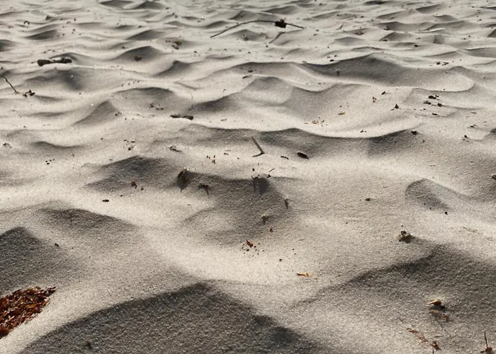 Apartament 9 Nina - Dębina