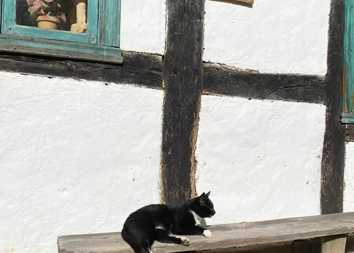 Apartament 9 Nina - Dębina Debina (Ustka)