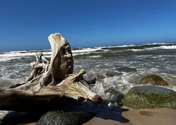 9 Nina - Debina Debina (Ustka)