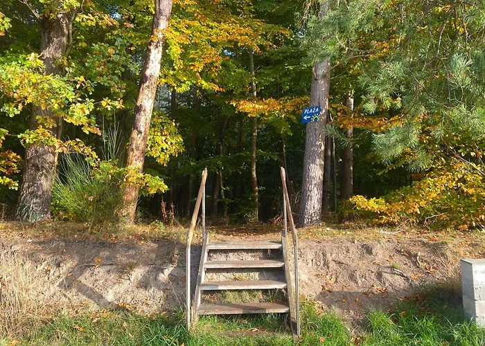 9 Nina - Dębina Debina (Ustka)